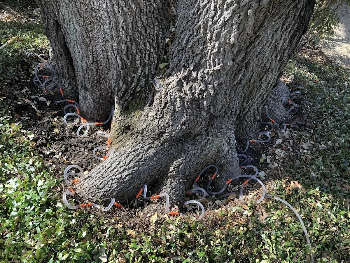 Detailed Shrub and Hedge Trimming job site in Newcomb