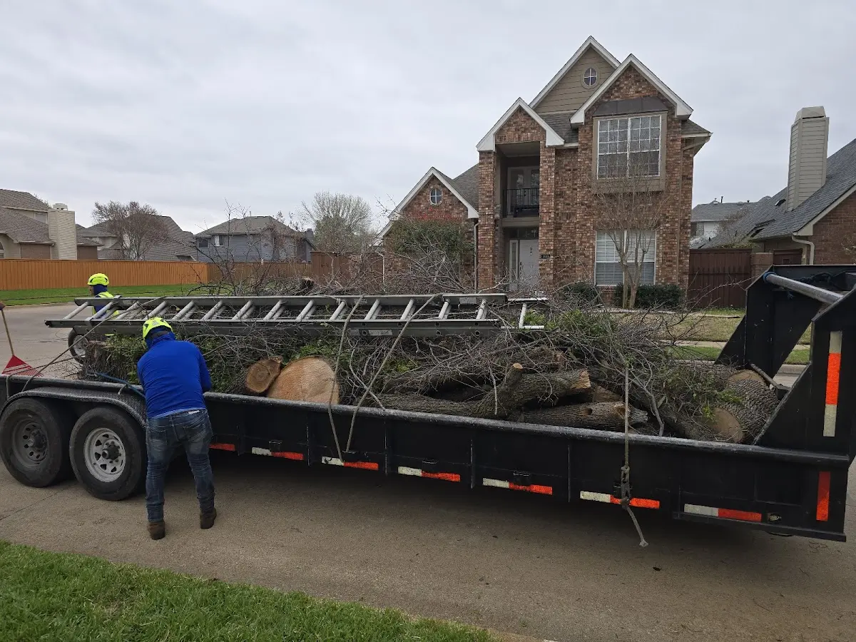 Expert Tree Fertilization with proper safety equipment in Newcomb